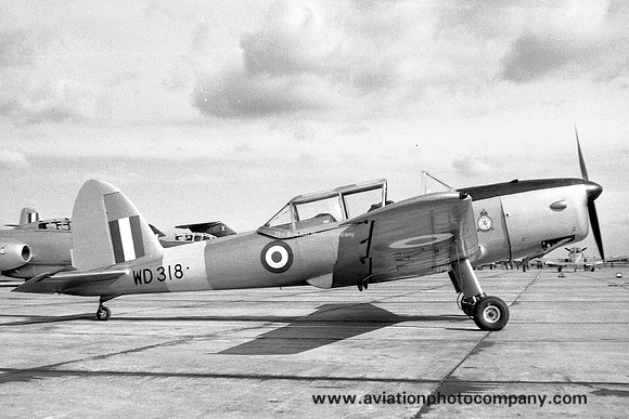 RAF Acklington Station Flight DHC-1 Chipmunk T.10 WD318 (1957)