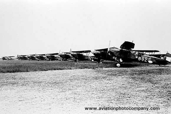 Dutch Air Force Fokker C.VD Lineup