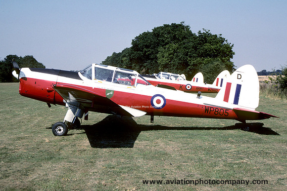 RAF 6 AEF DHC-1 Chipmunk T.10 WP805/D (1990)