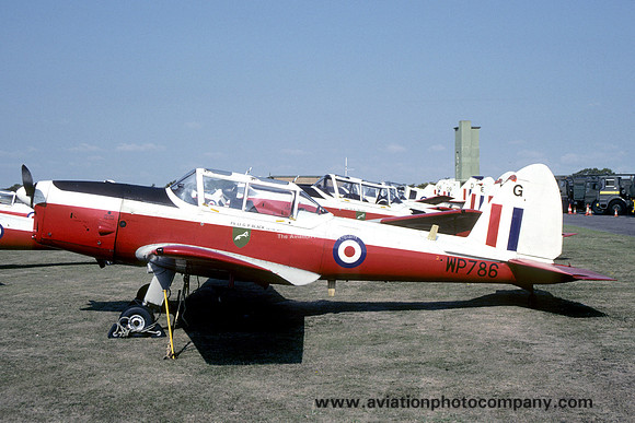 RAF 6 AEF DHC-1 Chipmunk T.10 WP786/G (1990)