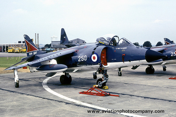 Royal Navy 800 Squadron HS Sea Harrier FRS.1 XZ454/N250 (1980)
