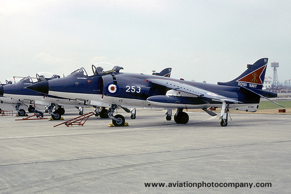 Royal Navy 800 Squadron HS Sea Harrier FRS.1 XZ460/N253 (1980)