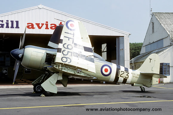 Fleet Air Arm Historical FLight Hawker Sea Fury FB.11 TF956/T123 (1980)