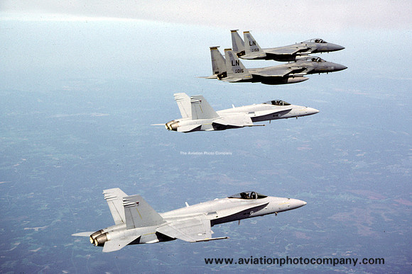 USAF 48 FW F-15Cs and Finnish Air Force F-18Cs Air to Air (2002)
