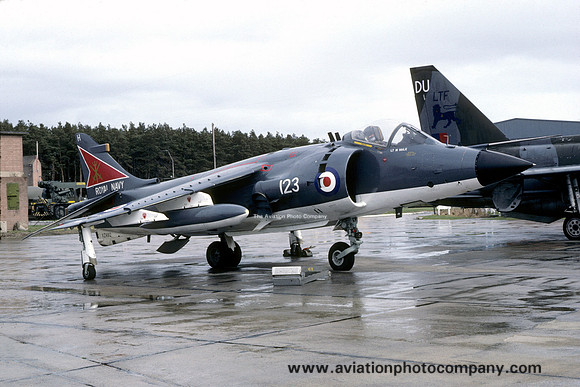 Royal Navy 800 Squadron Hawker Siddeley Sea Harrier FRS.1 XZ492/H123 (1981)