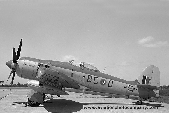 Royal Canadian Navy 803 Squadron Hawker Sea Fury FB.11 VX690 (1951)