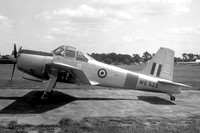 RAF Percival Provost T.1 WE525 (1952)