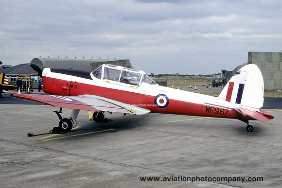 RAF 12 AEF DHC-1 Chipmunk T.10 WP967 (1991)