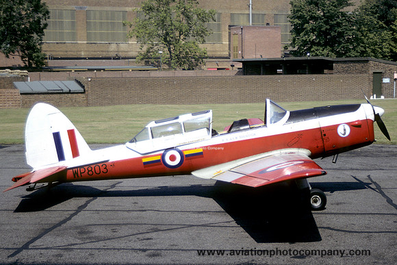 RAF 8 Squadron DHC-1 Chipmunk T.10 WP803 (1991)