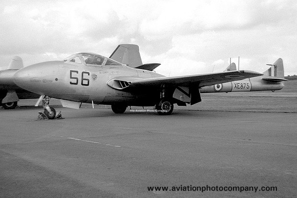RAF De Havilland Vampire T.11 XE875/56 (1958)