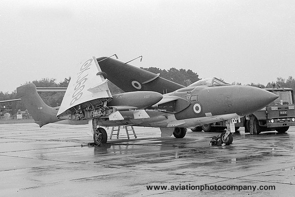 RAE De Havilland Sea Vixen FAW.2 XJ608 (1979)