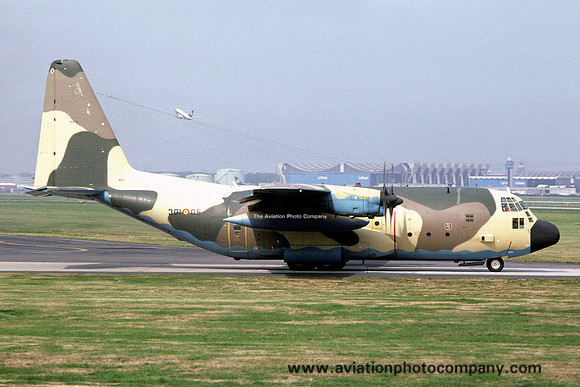 Spanish AF Esc 301 Lockheed KC-130H Hercules TK.10-5/301-05 at Rhein Main (1979)