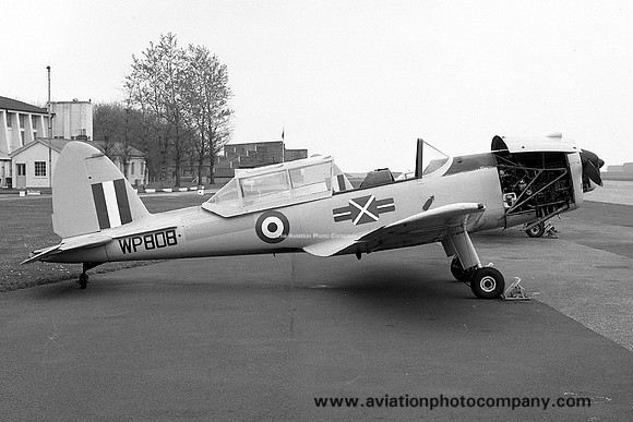RAF St Andrews UAS DHC-1 Chipmunk T.10 WP808 (1970)