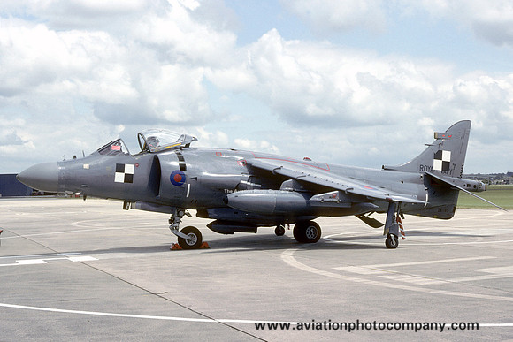 Royal Navy/BAE HS Sea Harrier FRS.2 ZA195 (1992)