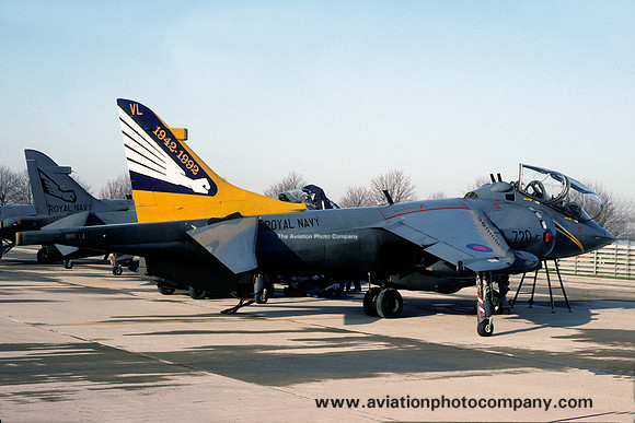 Royal Navy 899 Squadron Harrier T.4 XW268 50 Years colour scheme (1992)