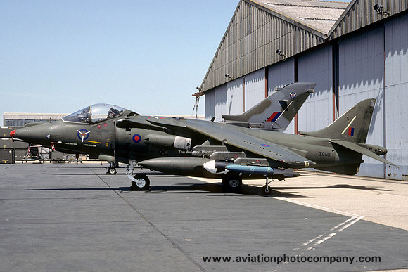 RAF SAOEU HS Harrier GR.7 ZG501 at IAT Boscombe Down (1992)