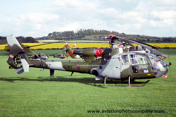 AAC 1 Regiment Westland Gazelle AH.1 XX387 at Middle Wallop (1992)