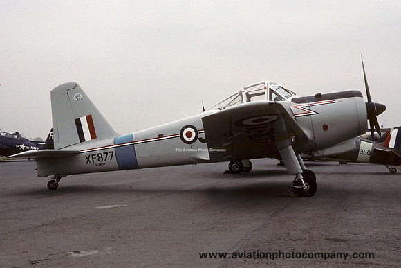 Percival Provost T.1 G-AWVF/XF877 (1991)