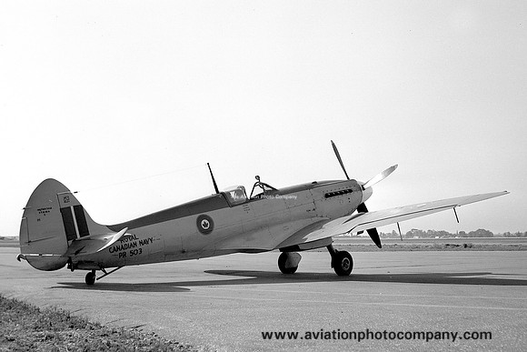 Royal Canadian Navy 883 Squadron Supermarine Seafire PR503