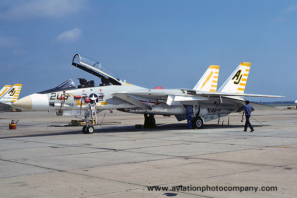 US Navy VF-142 Grumman F-14A Tomcat 159452/AJ-206 (1975)