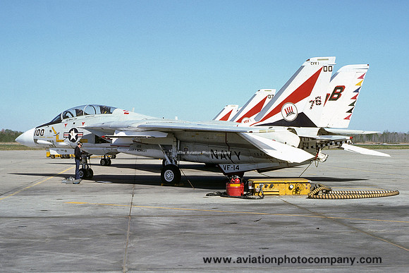 US Navy VF-14 Grumman F-14A Tomcat 159421/AB-100 (1976)