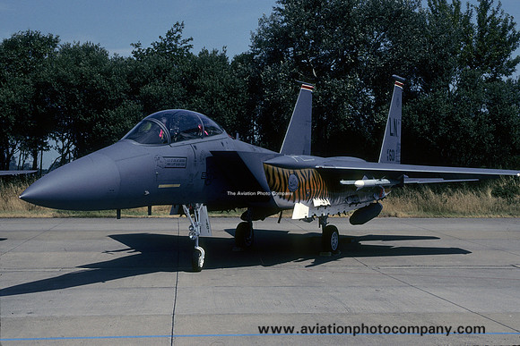 USAF 48 FW 494 FS McDonnell Douglas F-15E Strike Eagle 91-0601/LN (2001)
