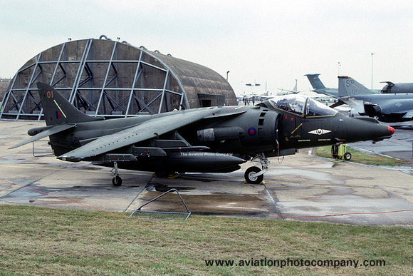 RAF 1 Squadron HS Harrier GR.5 ZD461/01 (1992)