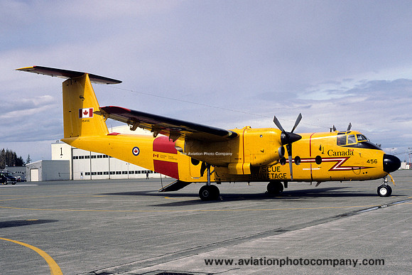 Canadian Air Force 442 Squadron DHC-5D Buffalo 115456 (2002)