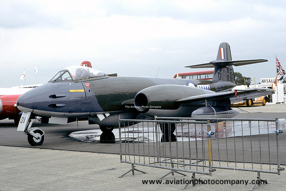 RAF 1 TWU Gloster Meteor F.8 VZ467/01 (1981)