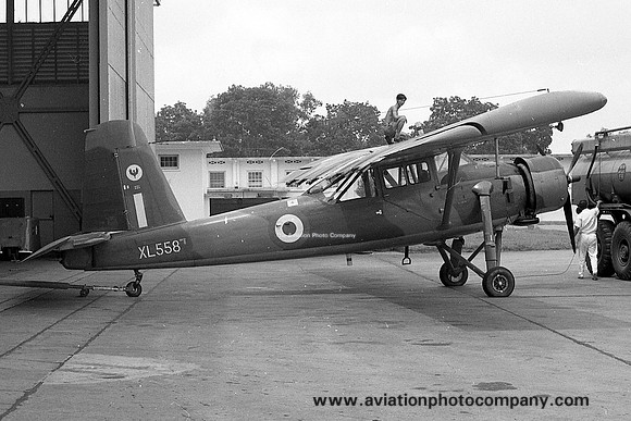 RAF 209 Squadron SAL Pioneer CC.1 XL558 at RAF Seletar (27.08.1966)