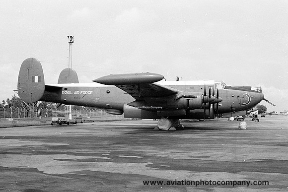 RAF 206 Squadron Avro Shackleton MR.3 WR979/D (1966)