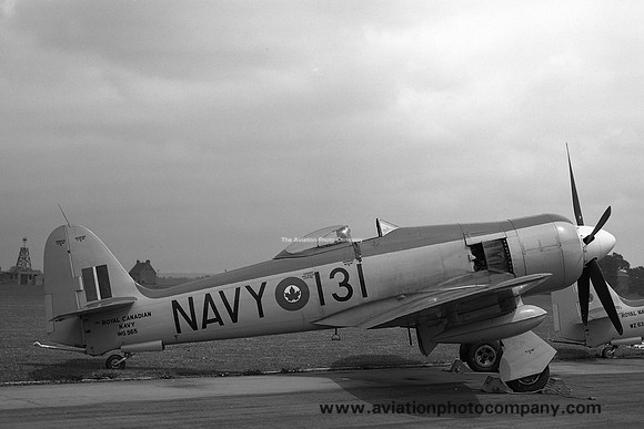 Royal Canadian Navy Hawker Sea Fury FB.11 WG565 (1953)