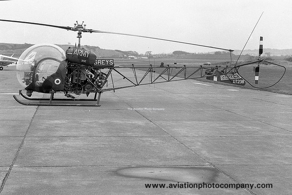 AAC Royal Scots Greys Westland Sioux AH.1 XT238 (1970)