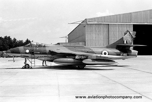 RAF 1417 Flight Hawker Hunter FR.10 XF460 (1966)