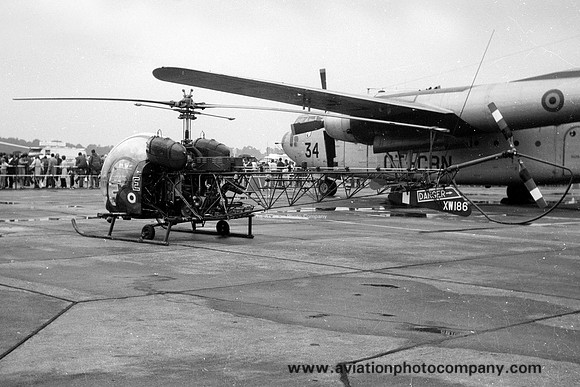 AAC Army of the Rhine Westland Sioux AH.1 XW186/E (1970)