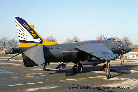 Royal Navy 899 Squadron HS Sea Harrier FRS.1 ZD578 (1992)