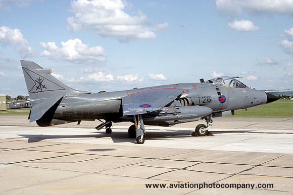 Royal Navy 800 Squadron HS Sea Harrier FRS.1 XZ494/126 (1993)