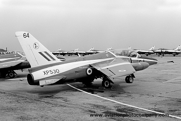RAF 4 FTS Folland Gnat T.1 XP530 (1971)