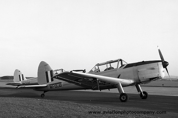 RAF Edinburgh UAS DHC-1 Chipmunk T.10 WP808 (1969)