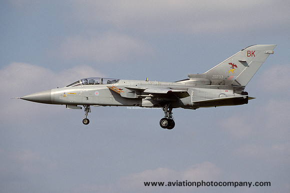 RAF 29 Squadron Panavia Tornado F.3 ZG733/BK (1993)