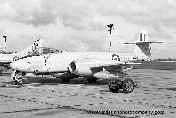 RAF 85 Squadron Gloster Meteor F.8 WH291 (1968)