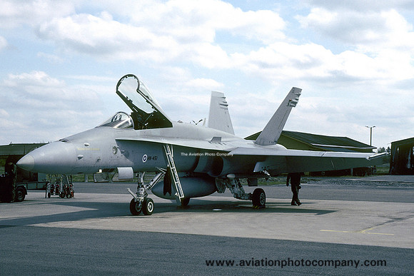Finnish Air Force McDonnell Douglas F-18C Hornet HN-451 (2005)