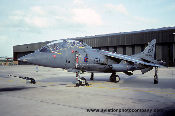 Royal Navy 899 Squadron HS Sea Harrier T.4BN XZ445 (1992)