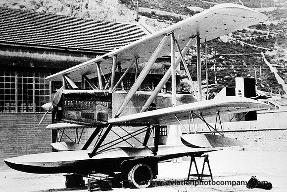 Italian Air Force Piaggio P-6