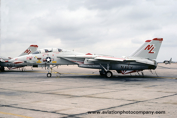 US Navy VF-111 Grumman F-14A Tomcat 160670/NL-202 (1981)