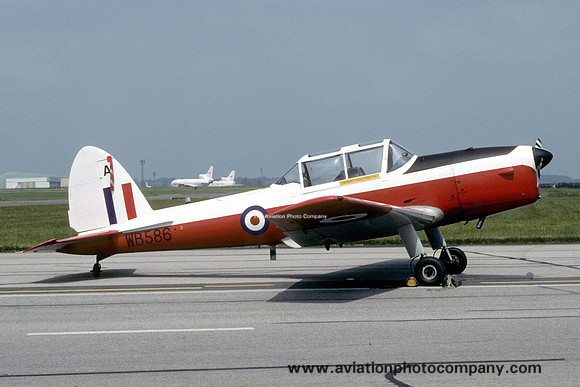 RAF 6 AEF DHC-1 Chipmunk T.10 WB586 (1993)