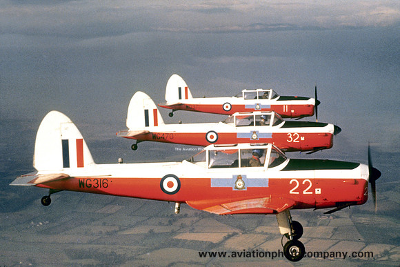 RAF 2 FTS DHC-1 Chipmunk T.10s WG316, WG470 and WD371