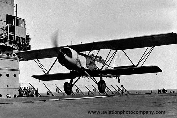 Royal Navy Blackburn B-6 Shark "B-6"