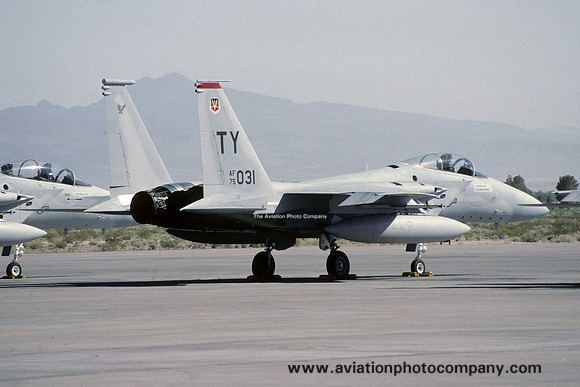 USAF 325 TTW McDonnell Douglas F-15A Eagle 75-0031/TY (1991)