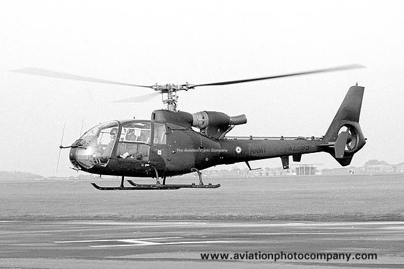 Army Air Corps 657 Squadron Westland Gazelle AH.1 XZ299 (1979)